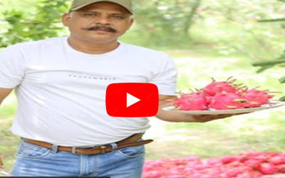 mahendra pratap