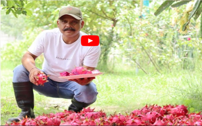 mahendra pratap